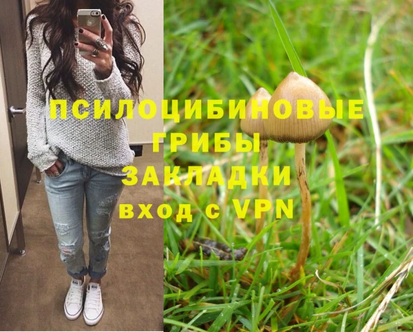 mdpv Богданович
