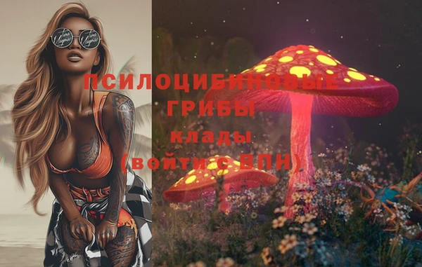 mdpv Богданович