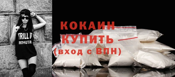 2c-b Богородицк