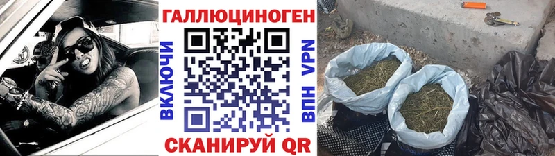 Купить где  Горняк  Псилоцибиновые грибы мухоморы 
